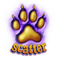fonzos feline fortunes scatter symbol