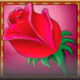 la fiesta scatter symbol