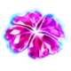 pink clovers xxxl hold and win collect scatter symbol