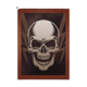 riot ultimate scatter 2 symbol