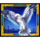 10000 wonders big bang falcon symbol
