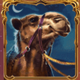 10001 nights megaways camel symbol