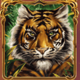 10001 nights megaways tiger symbol