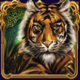 10001 nights tiger symbol