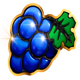 2020 hit slot grape symbol