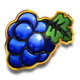2024 hit slot grapes symbol