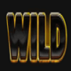 3 coins wild symbol