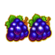 3x3 27 ways grapes symbol