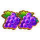 3x5 hold the spin grapes symbol