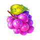 40 splendid sevens grape symbol