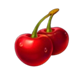 4 fairy flowers hold and win cherry symbol