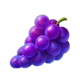 4 fairy flowers hold and win grape symbol