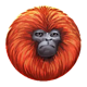 7 monkeys orange symbol