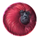 7 monkeys red 1 symbol