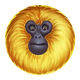 7 monkeys yellow 1 symbol