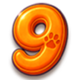 ace and flip 9 symbol