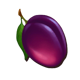admiralx fruit machine plum symbol