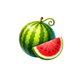 all star win x50 watermelon symbol