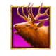 badlands reindeer symbol