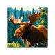 bear spirit bounty elk symbol