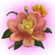 beary wild bee flower symbol