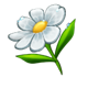bee keeper daisy flower symbol