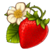 bee keeper strawberry symbol