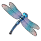 big bass splash 1000 dragonfly symbol