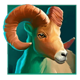 big wild buffalo goat symbol