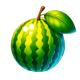big win x25 melon symbol