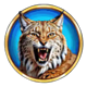 bison moon power combo cat symbol