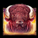 bison trail bison symbol