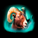 bison trail goat symbol