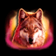bison trail wolf symbol