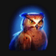 black wolf hold and win owl symbol