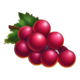 blazing coins hold and win grapes symbol