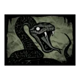 blood and shadow 2 snake 2 symbol