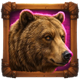 buffalo duels bear symbol