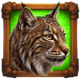 buffalo duels bobcat symbol