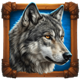 buffalo duels wolf symbol