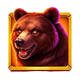 buffalo goes wild 2 bear symbol