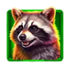 buffalo goes wild 2 raccon symbol