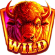 buffalo goes wild 2 wild symbol