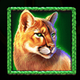 buffalo king untamed megaways tiger symbol