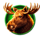 buffalo prime x unlock moose symbol