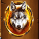 buffalo rampage wolf symbol