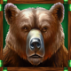 buffalo trail bear symbol