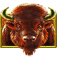 buffalo trail buffalo symbol