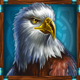 buffalo trail eagle symbol