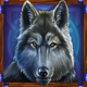 buffalo trail wolf symbol